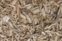 biomass boilers Balmoral